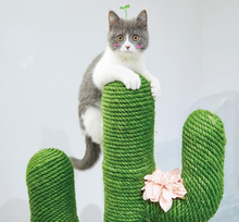 Load image into Gallery viewer, Super Cute New Cactus Best Cat Climbing Tree