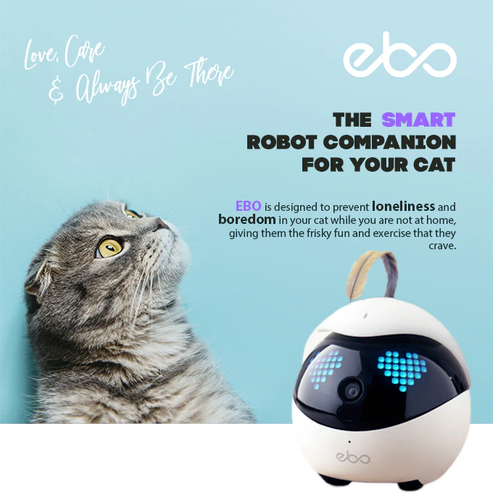 The Smartest Robot Cat Toy - DreamTreeTech - High Quality Technology Products at Unbeatable Prices