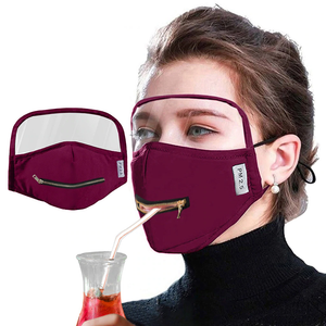 Adult Cotton Zipper Opening Design Outdoor Protective Face Mask With Eyes Shield - DreamTreeTech