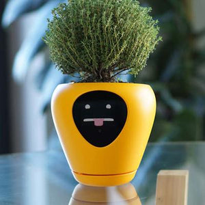 The Best Smart Planter Pot with Emotions - DreamTreeTech - High Quality Technology Products at Unbeatable Prices