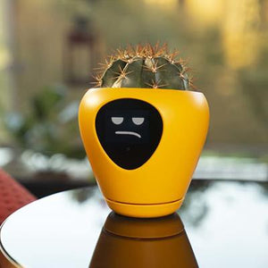 The Best Smart Planter Pot with Emotions - DreamTreeTech - High Quality Technology Products at Unbeatable Prices